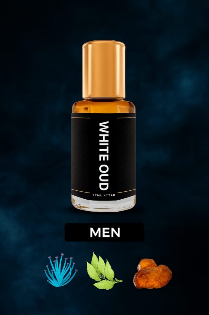 whatsapp image 2026 02 18 at 10.41.20 pm (1)